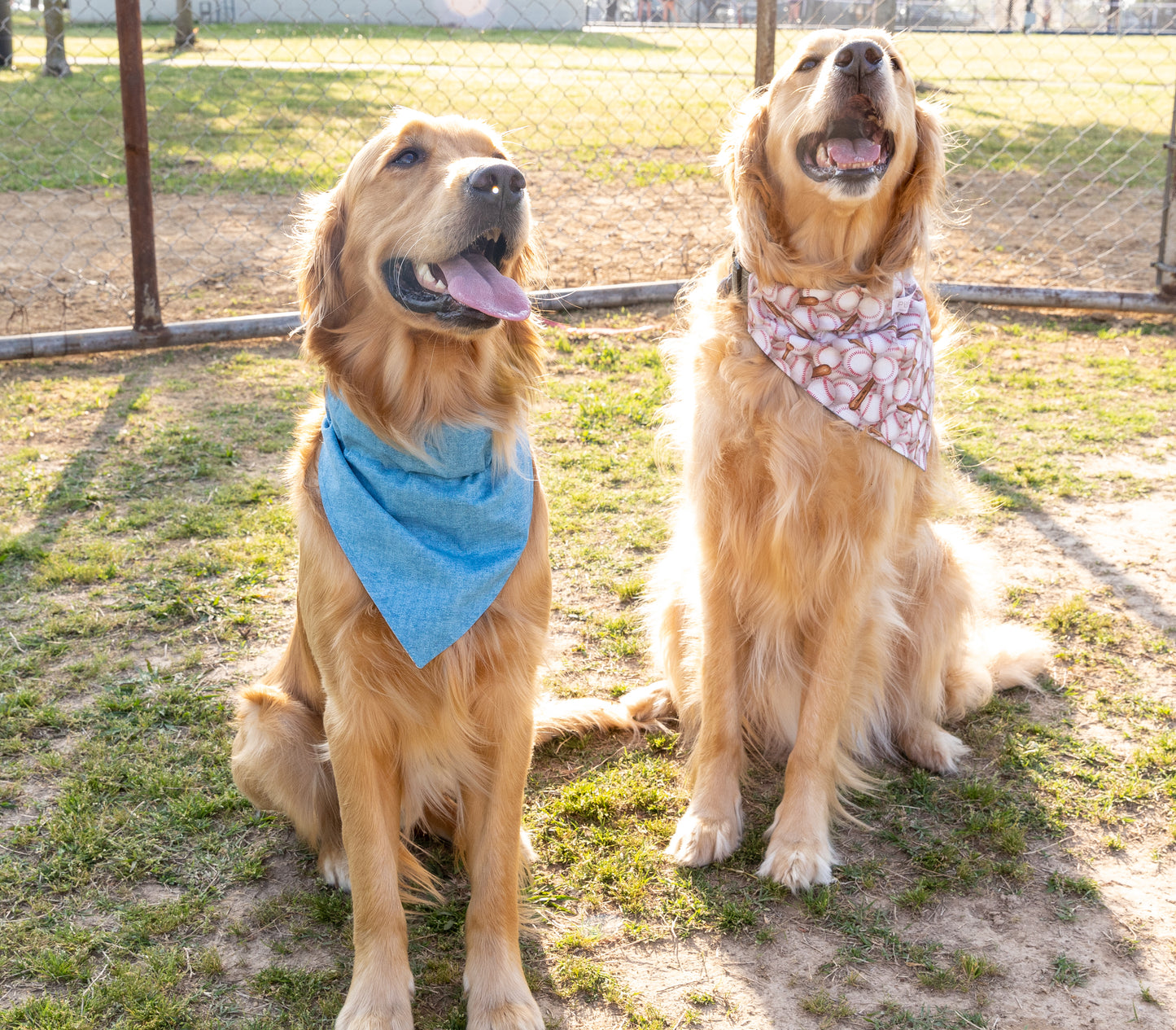 Baseballs/Blue Bandana