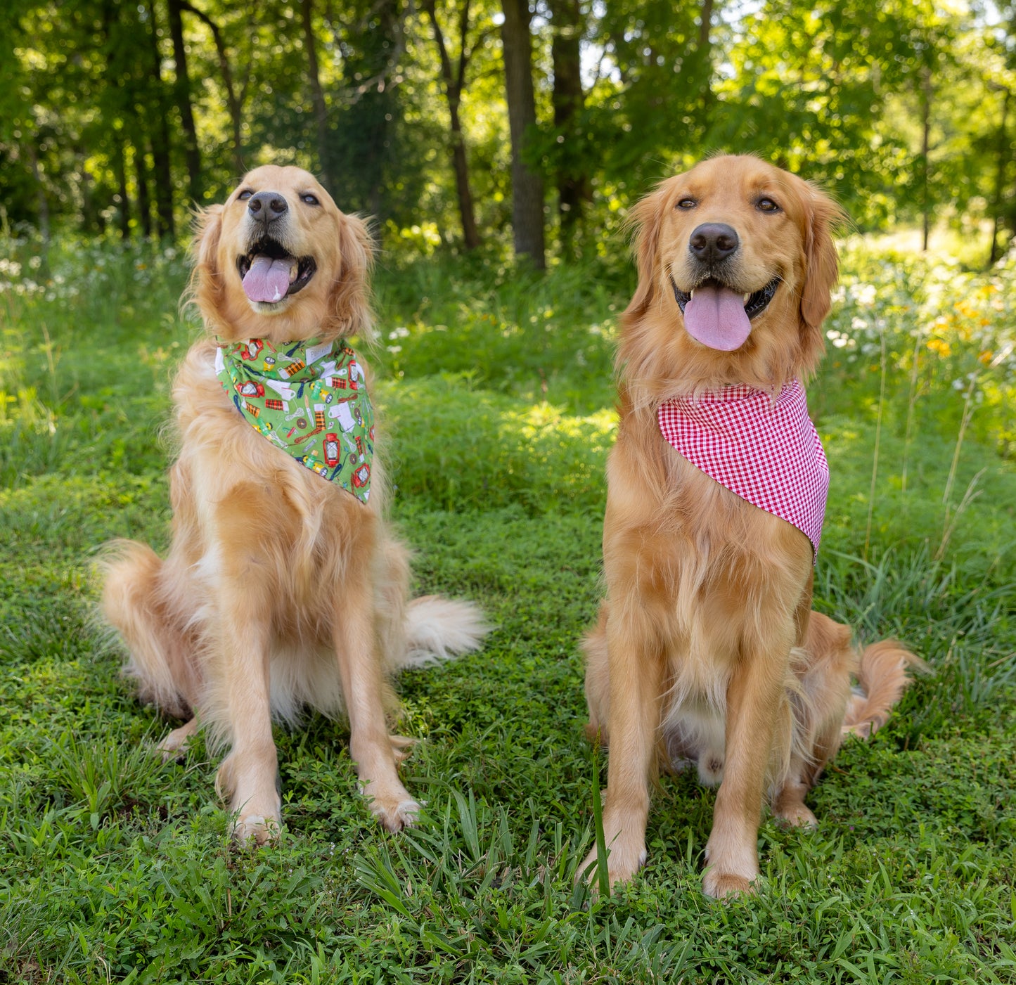 Camping/Gingham Bandana