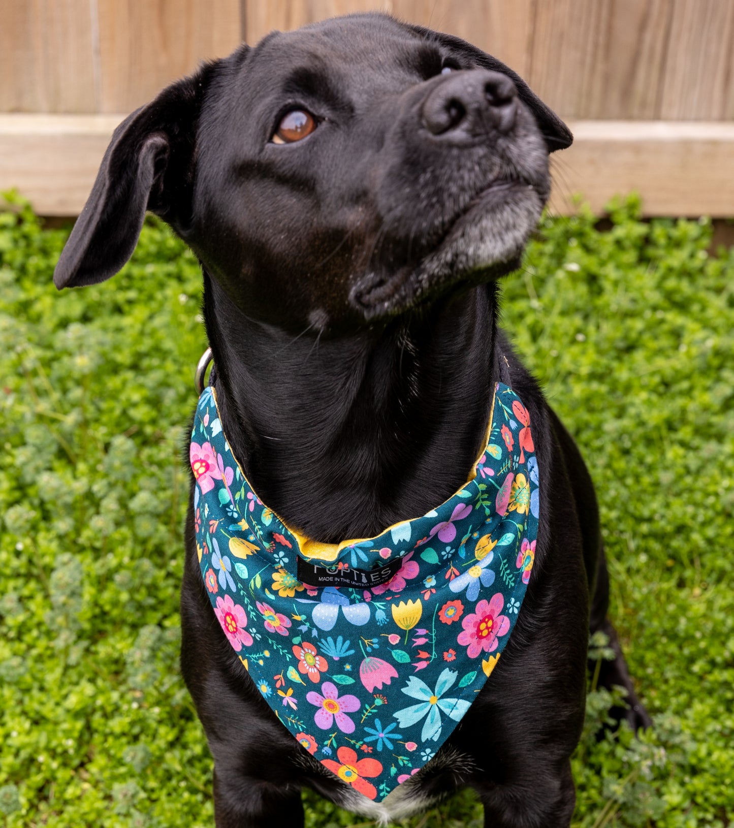 Groovy Floral/Yellow Tie Dye Bandana