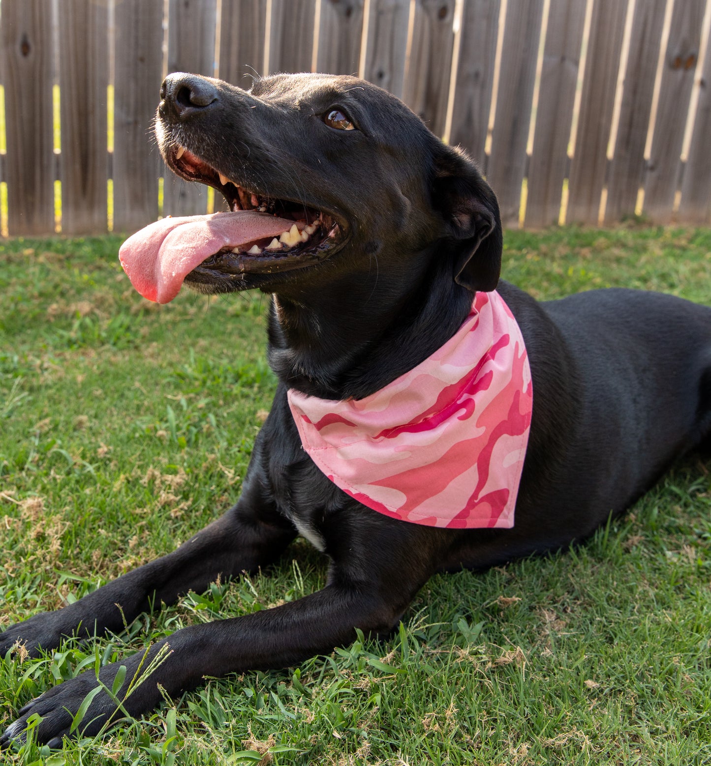 Camo/Pink Bandana