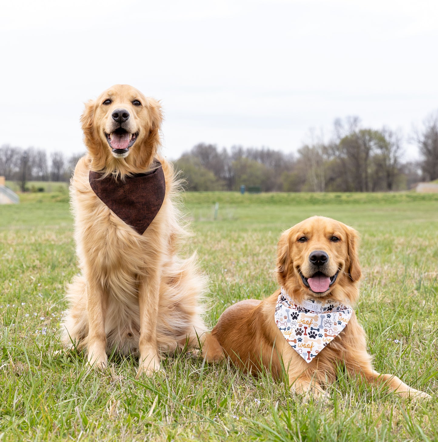 Woof/Brown Bandana