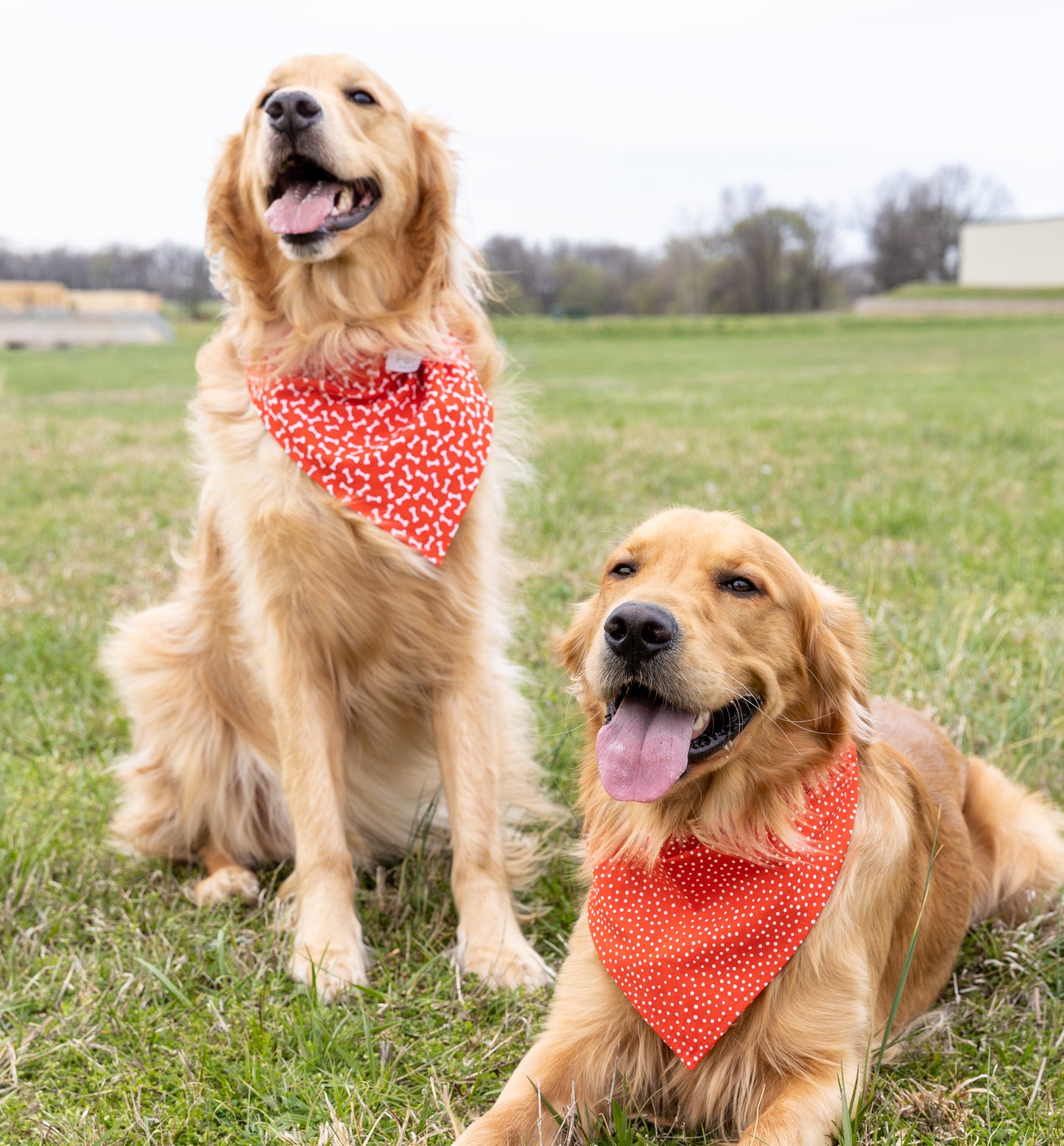 Red Bones/Polka Dots Bandana