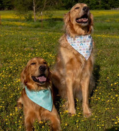 Rainbows/Blue Bandana