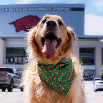 Footballs/Green Bandana