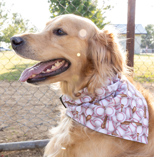 Baseballs/Blue Bandana