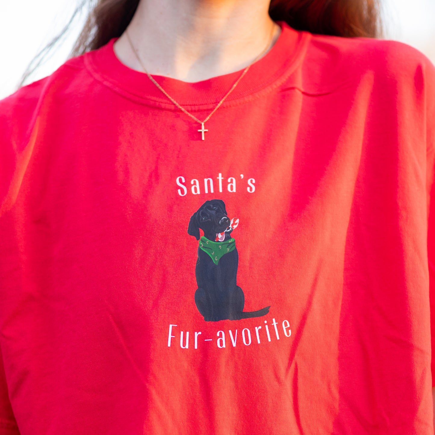 Santa's Fur-avorite Short Sleeve T-Shirt