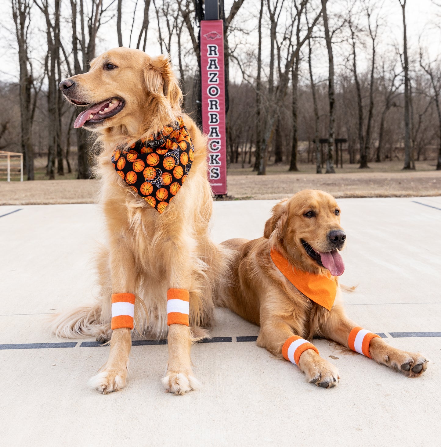 Basketball/Orange Bandana