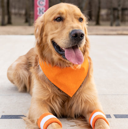 Basketball/Orange Bandana