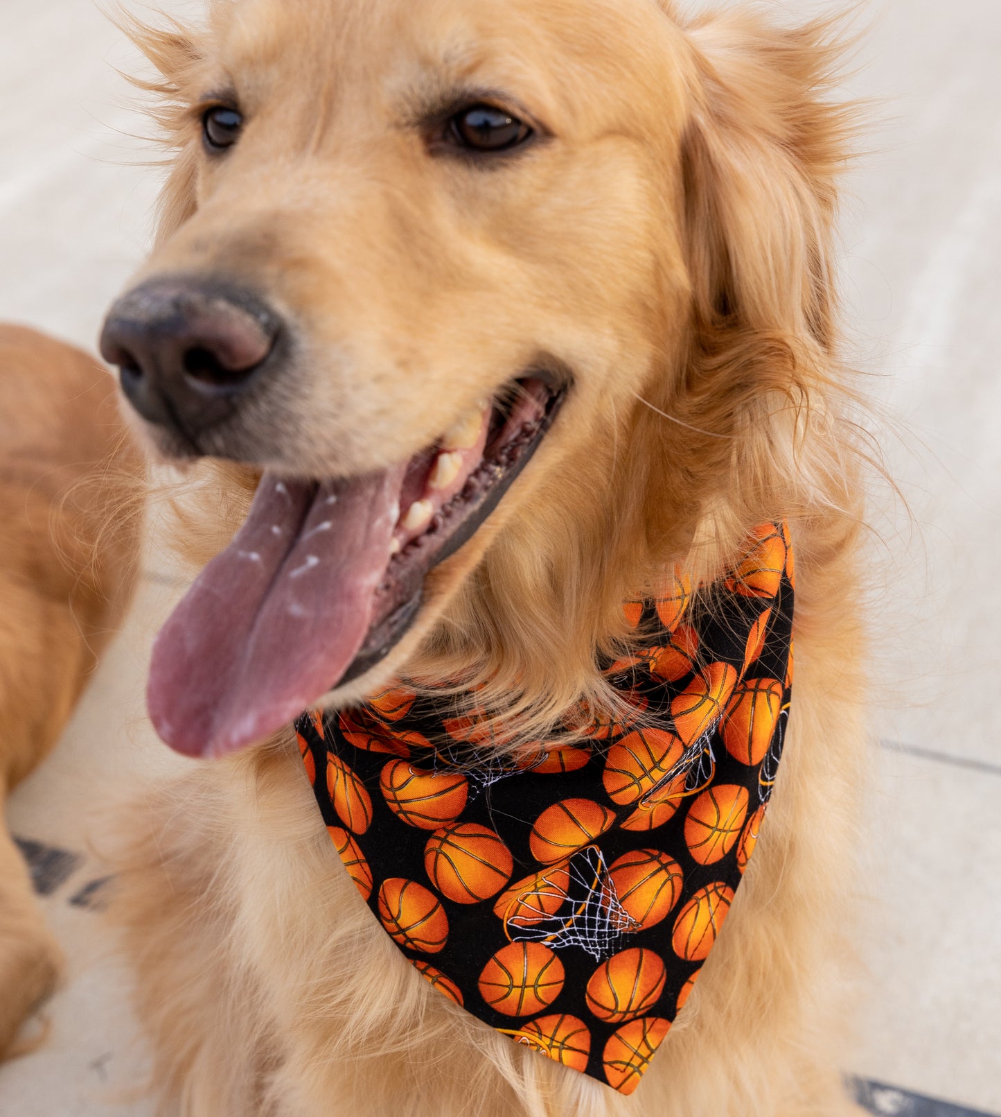 Basketball/Orange Bandana