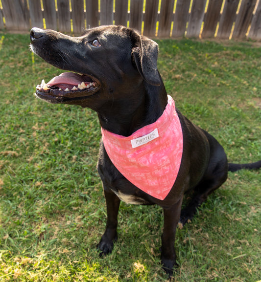 Camo/Pink Bandana