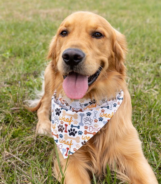 Woof/Brown Bandana