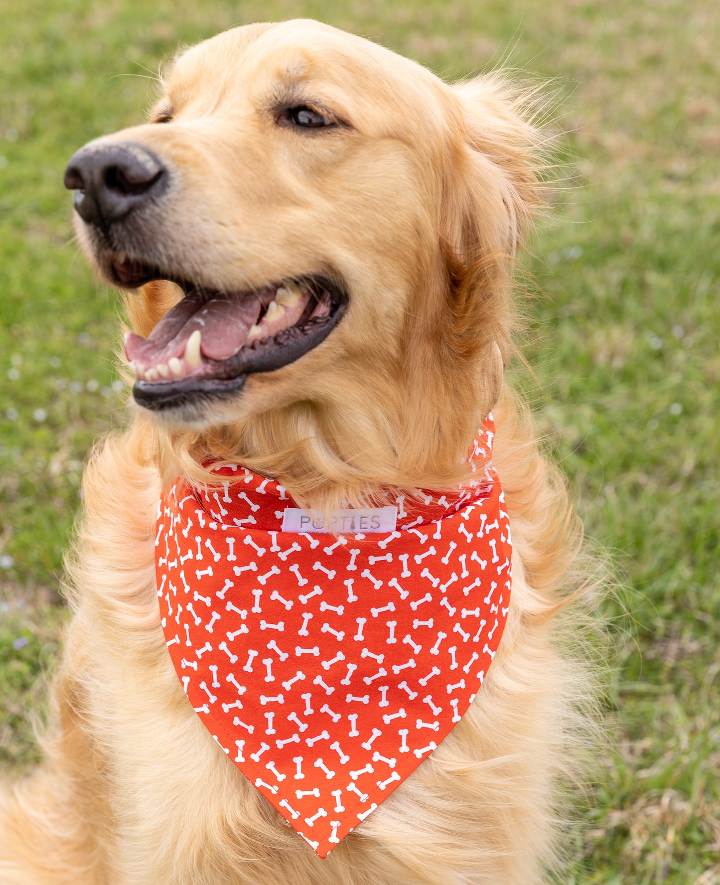 Red Bones/Polka Dots Bandana