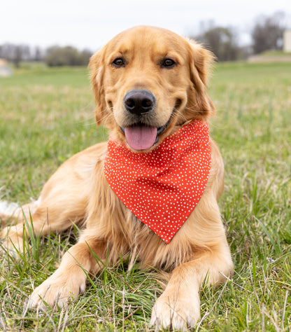 Red Bones/Polka Dots Bandana